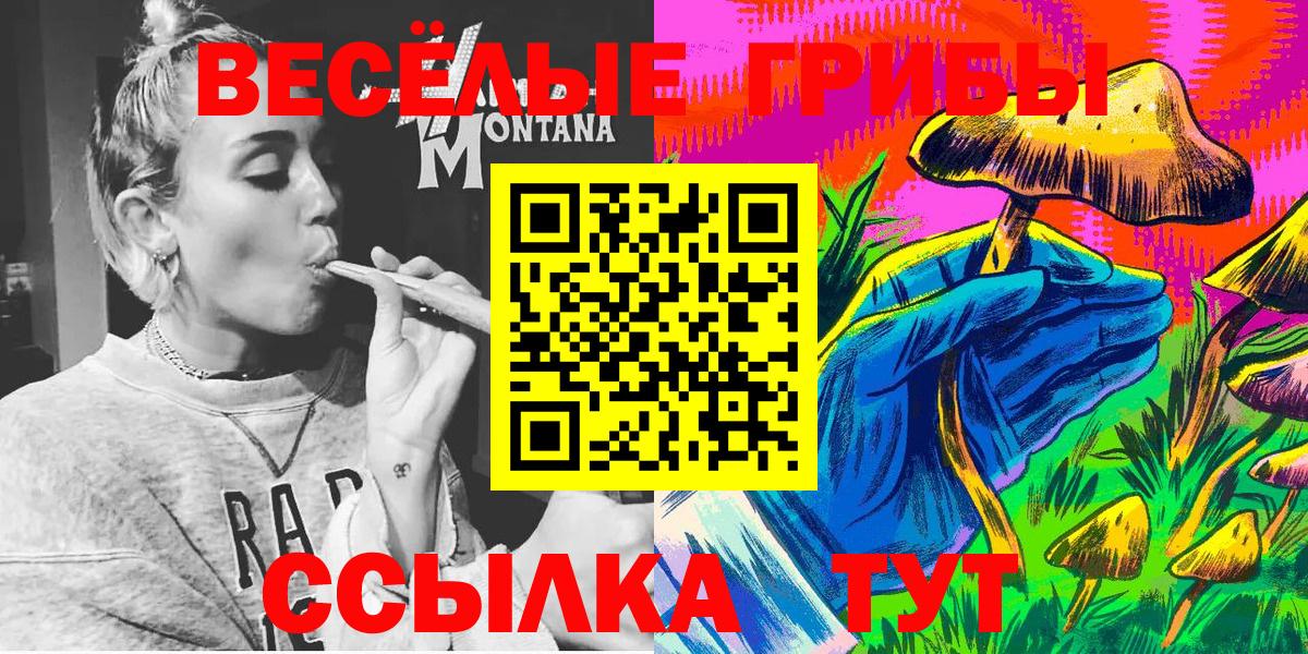 Анжеро-Судженск  Галлюциногенные грибы Magic Shrooms  Вход с VPN 