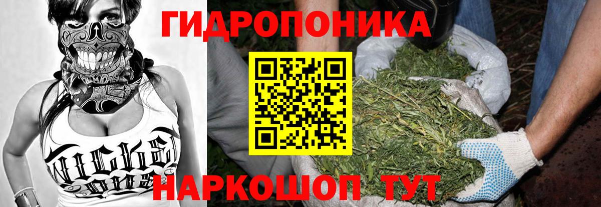 Бошки марихуана VHQ  Каннабис семена  Анжеро-Судженск  Вход с VPN 